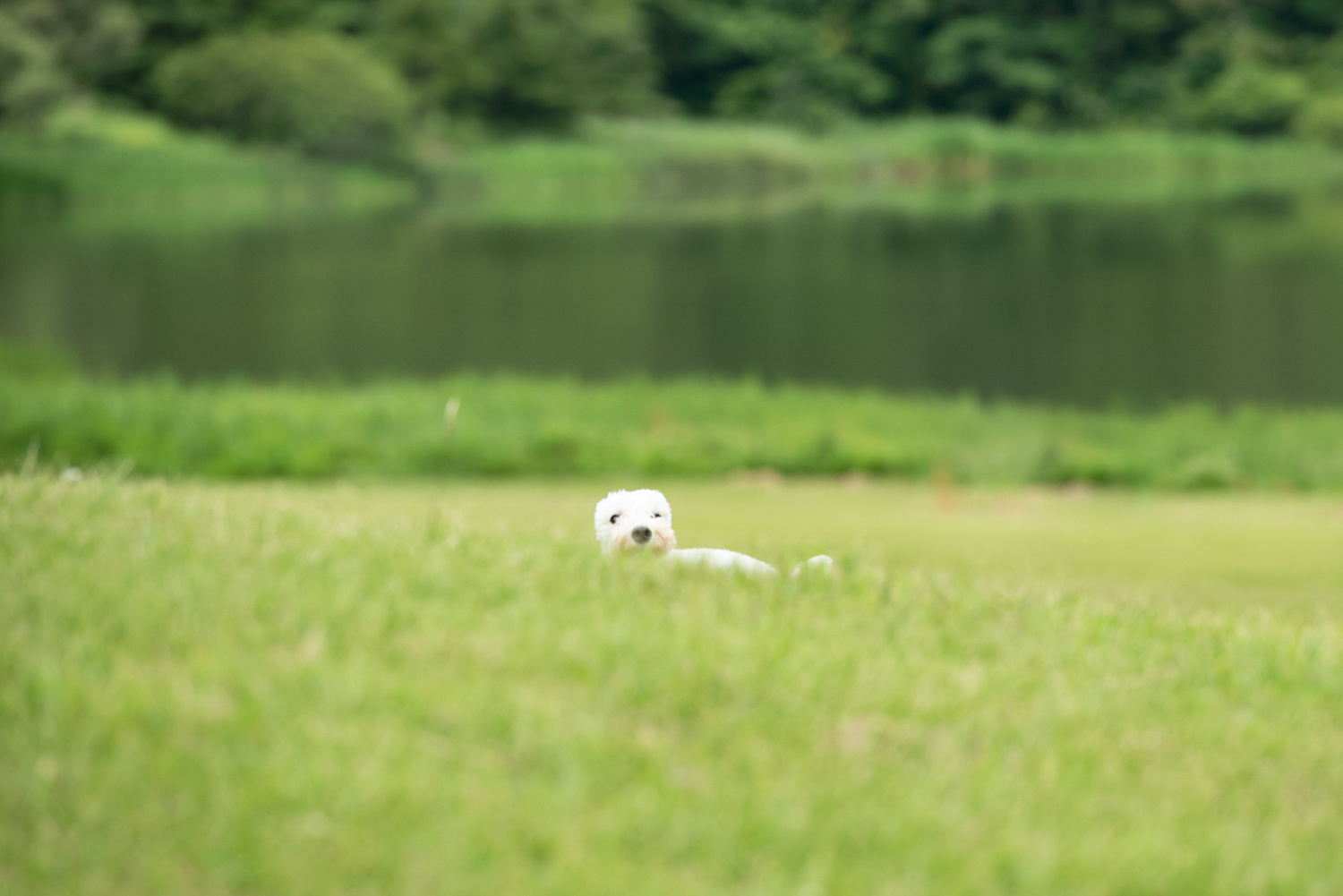 yo1_0084.jpg