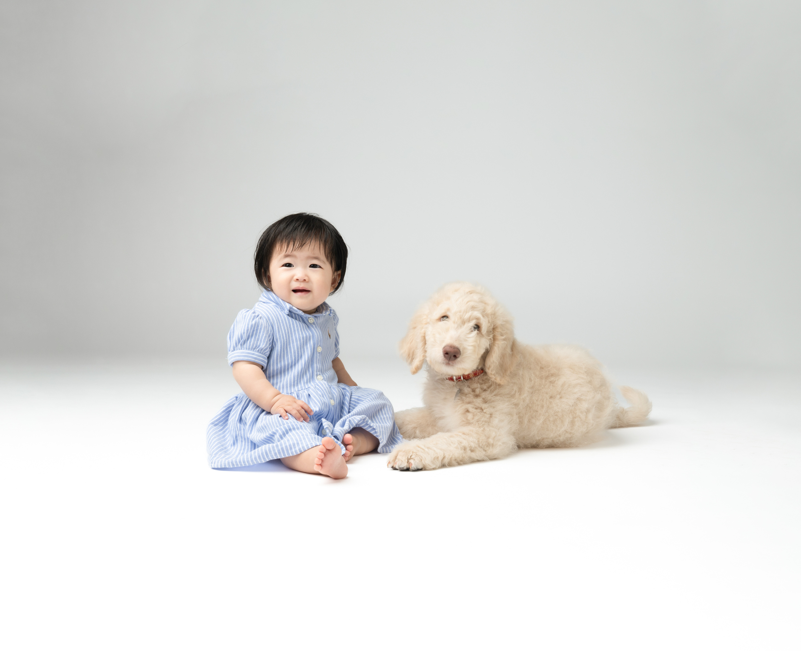 ペット写真