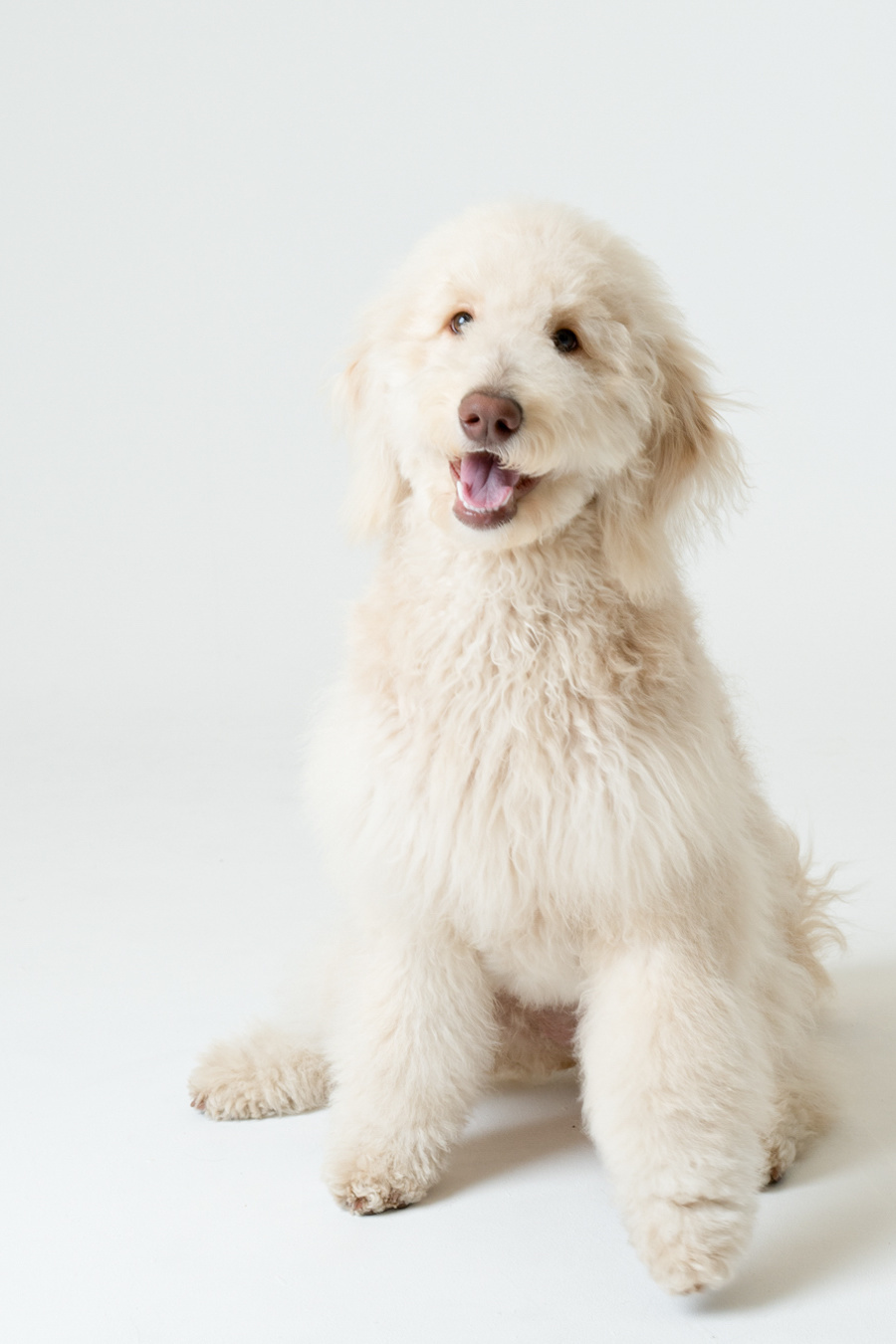 ロケーションフォト長野