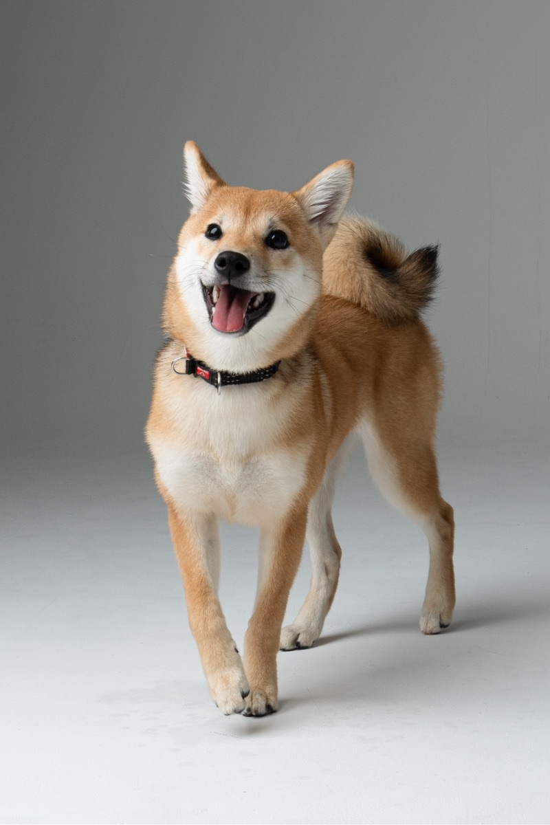 ロケーションフォト長野