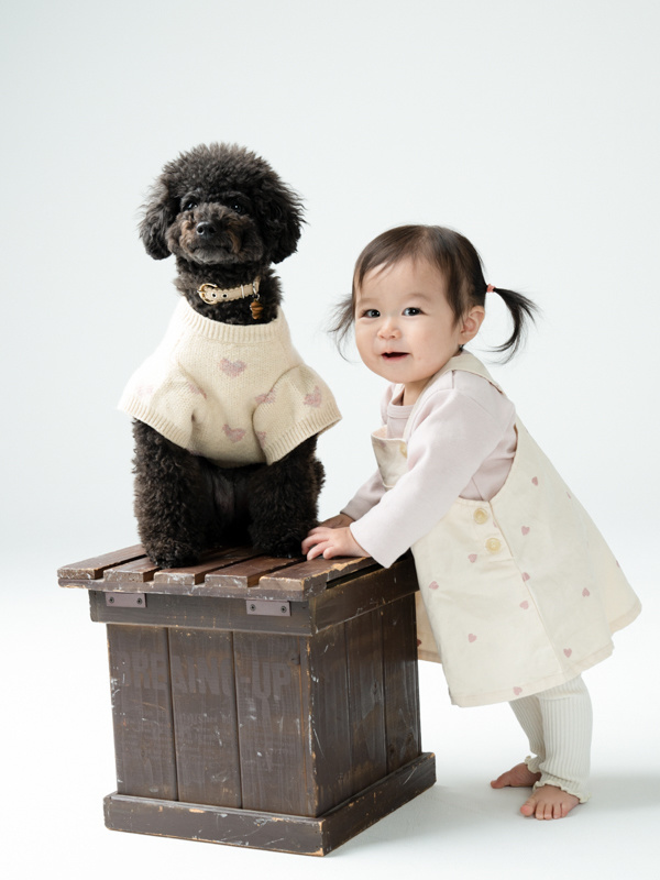 わんちゃん撮影